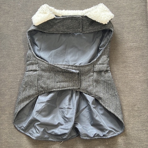 Dress & Outerwear - Picture 5 of 15